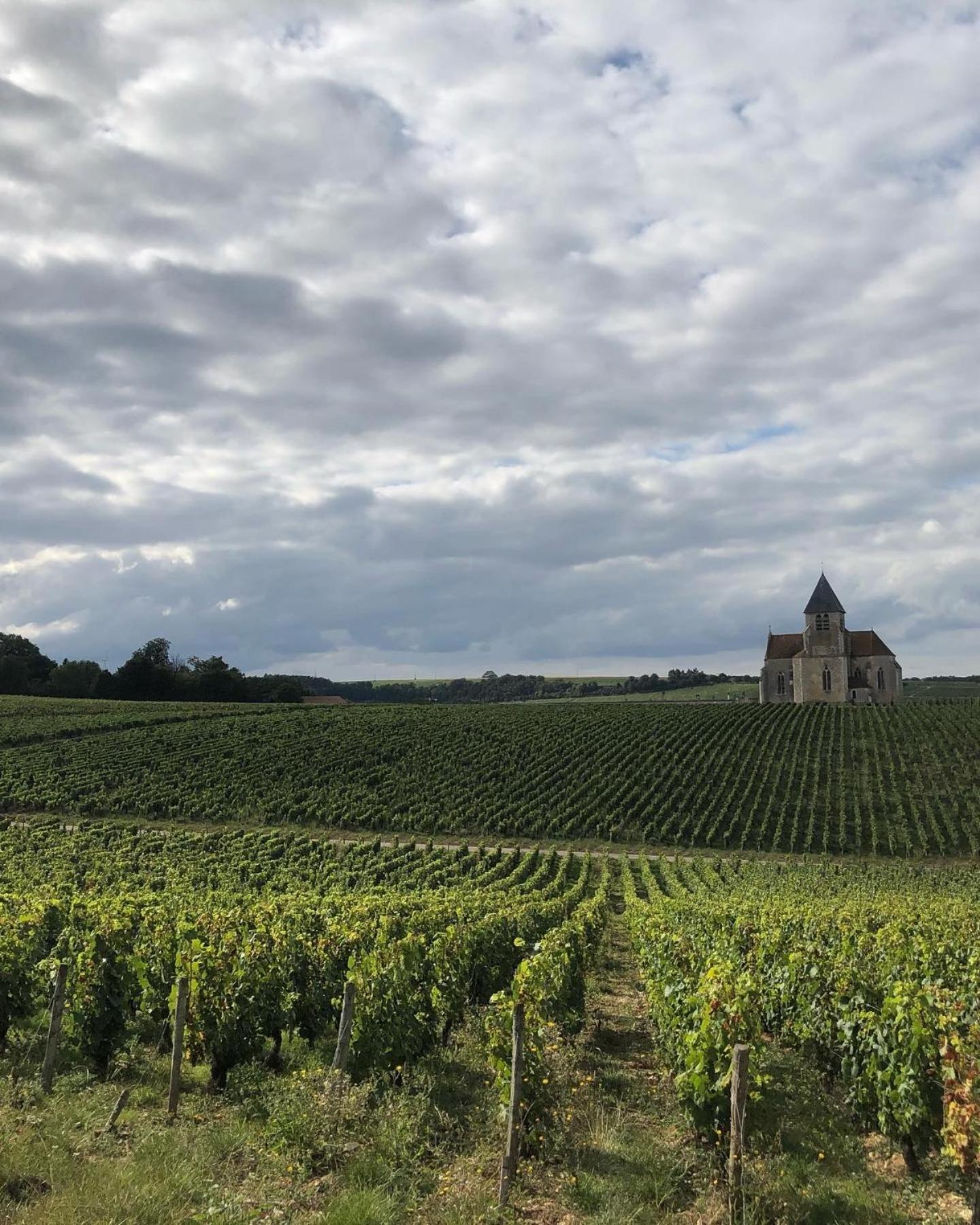 Préhy Maison De Pauline, Chablis Vineyard חדר תמונה